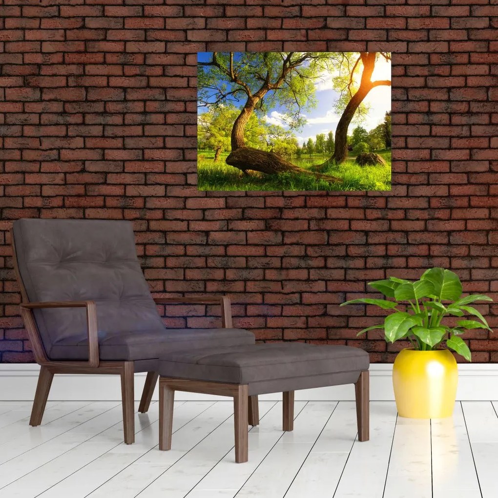 Kép egy tavaszi rétről (70x50 cm)