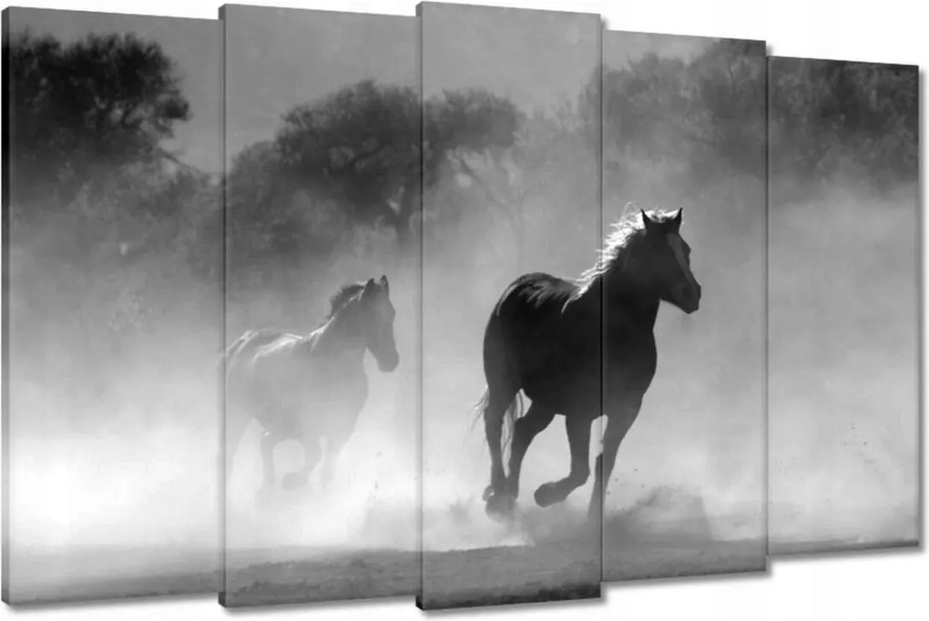 Képek 150x95 Galoppozó lovak