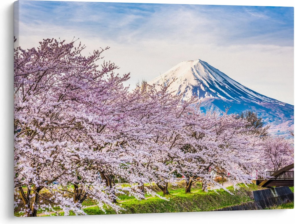 Kép - Japán tavasszal (70x50 cm)