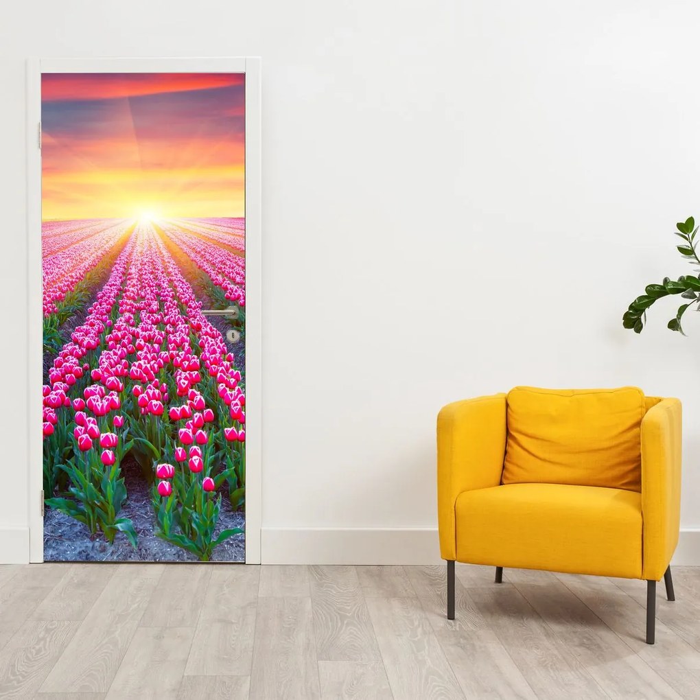 Fotótapéta ajtóra - Tulipán mező napsütésel (95x205cm)
