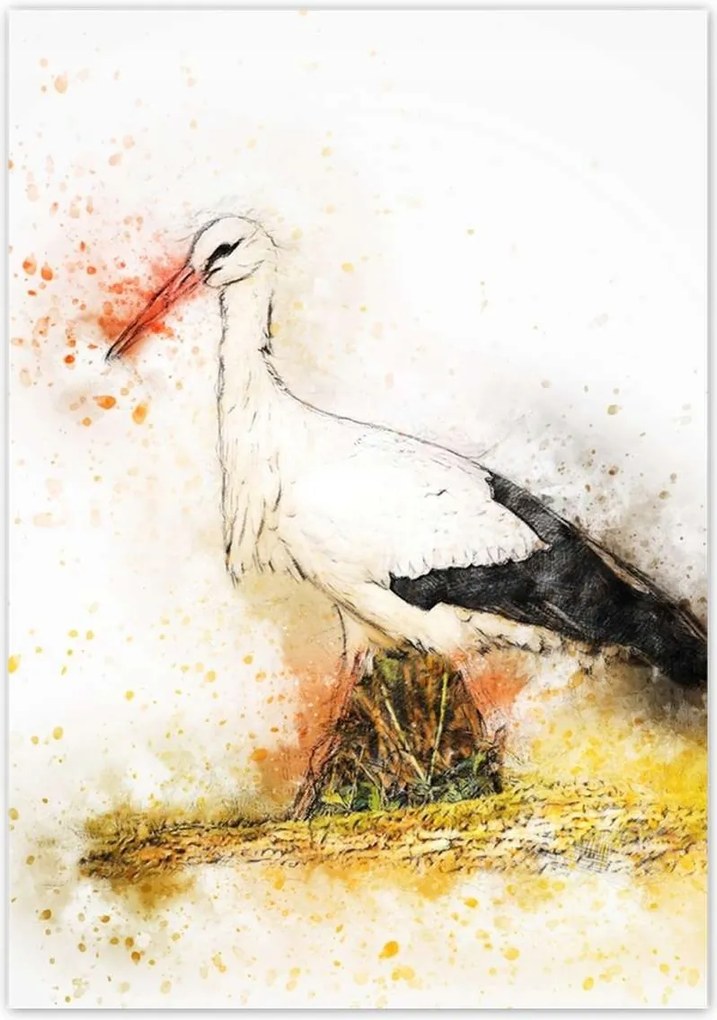 Poszterek 70x100 Gólya