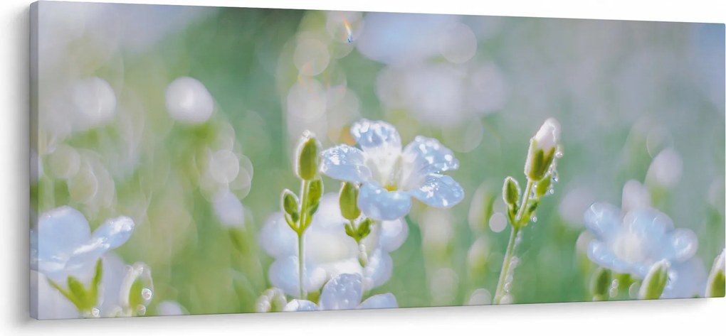 Kép - Finom virágok (120x50 cm)