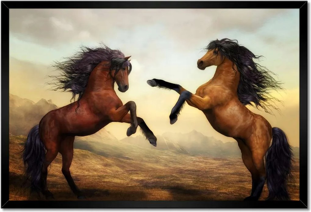 Poszterek keretben 60x40 Lovak paripák