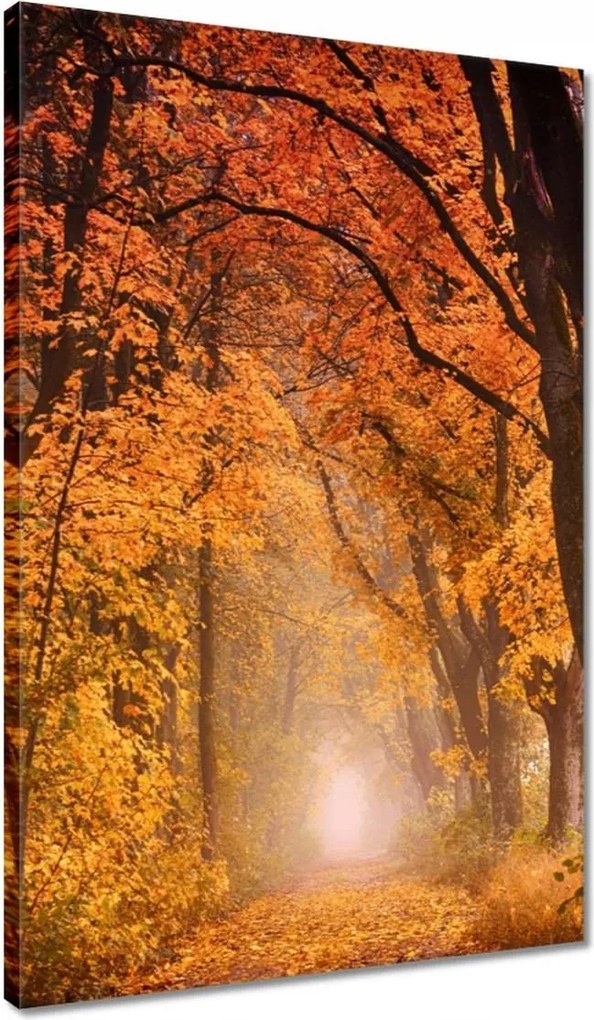 Vászonkép 40x60 Őszi kilátás