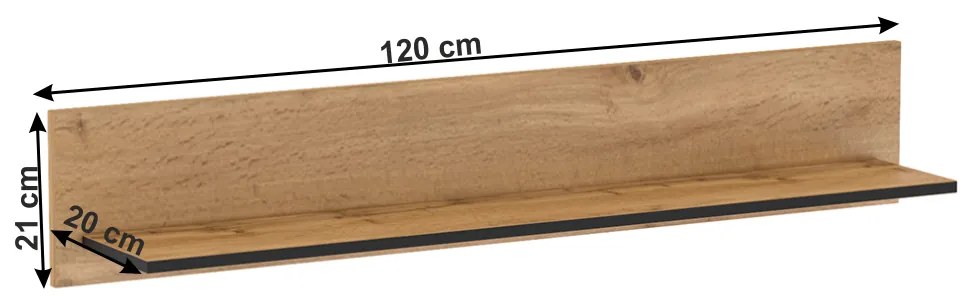Polc Toriana D. 1017055