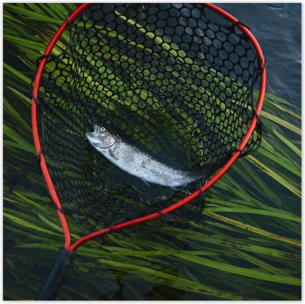 Poszterek 100x100 Halász és pisztrángháló