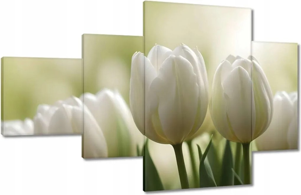 Vászonkép 130x80 Fehér tulipánok