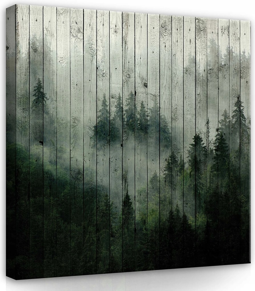 Vászonkép 40x40 Ködös erdő misztika természet nyugalom mélység fa
