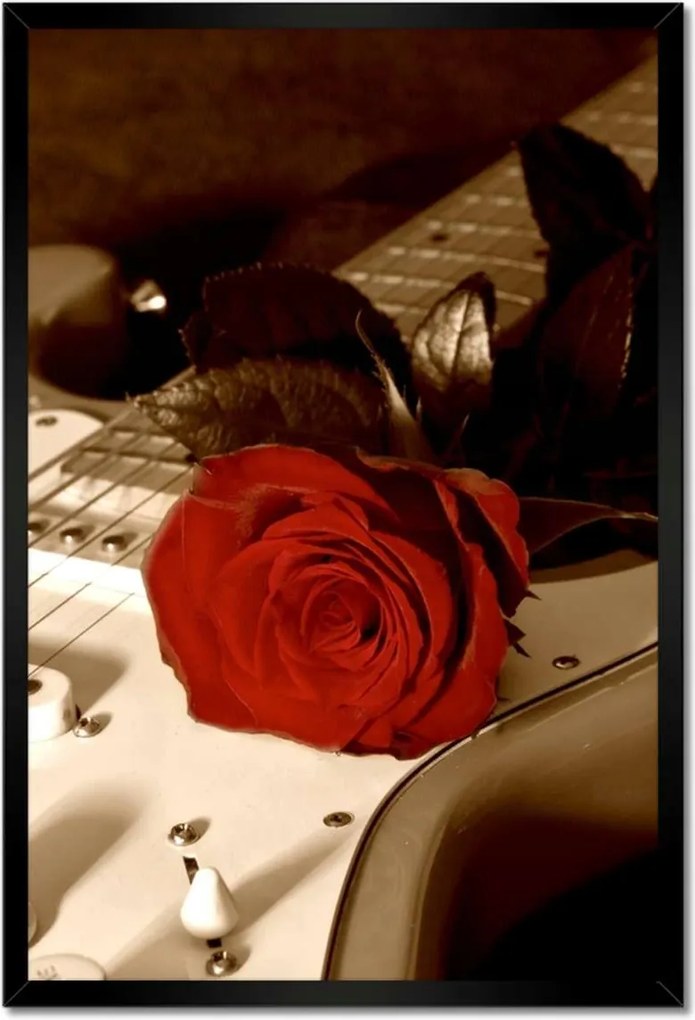 Poszterek keretben 40x60 Evező és rózsa