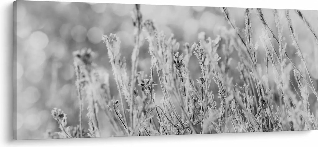 Kép - Hideg tél (120x50 cm)