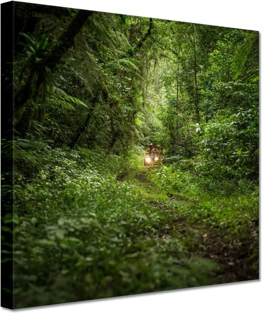 Vászonkép 60x60 Quad Négy kerék Terep