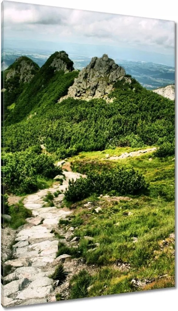 Vászonkép 80x120 Lengyel Tátra Hegyek