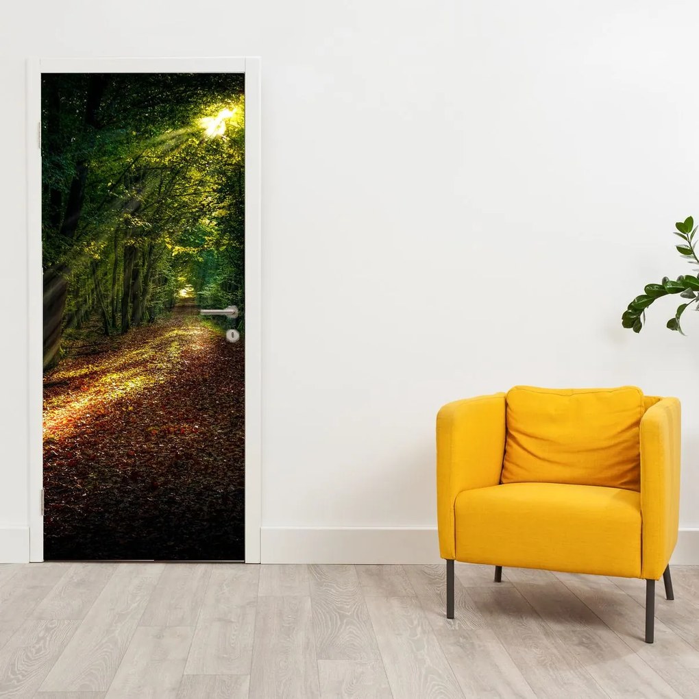 Fotótapéta ajtóra - Erdei út (95x205cm)