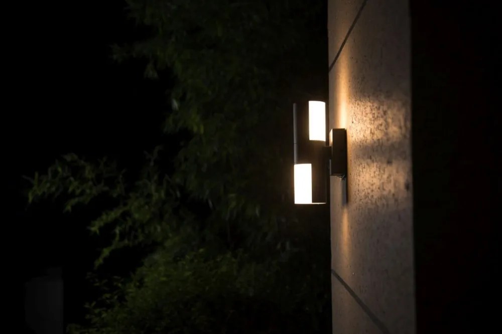 Kültéri Fali Lámpa Szürke Cyra LUTEC 5198101118