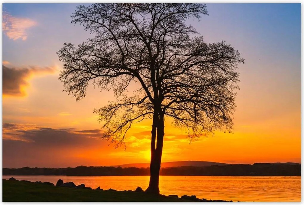 Poszterek 120x80 Fa naplemente