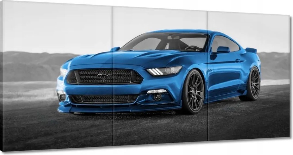Képek 120x60 Kék Ford Mustang