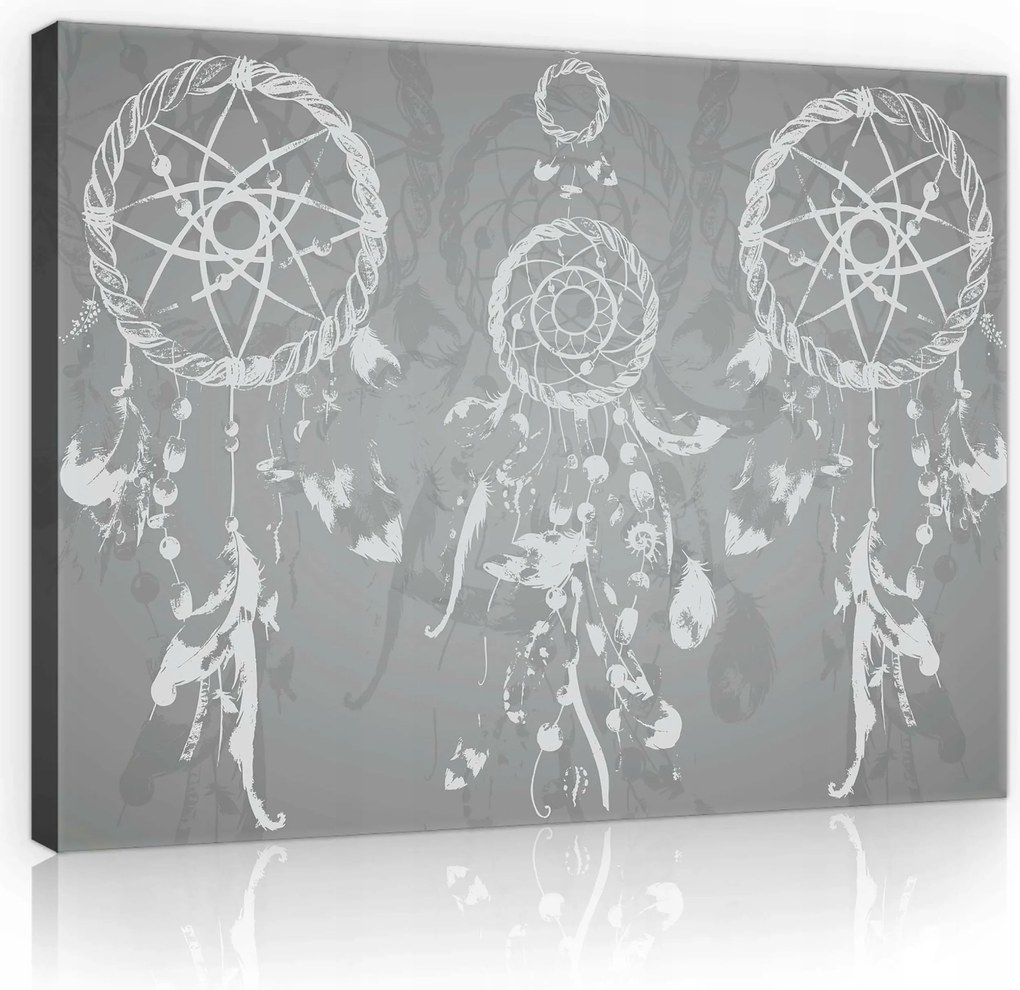 Vászonkép 100x75 Álomfogó spiritualitás misztika nyugalom toll szürke fehér