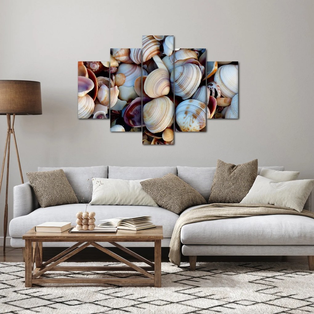 Kagyló képe (150x105 cm)