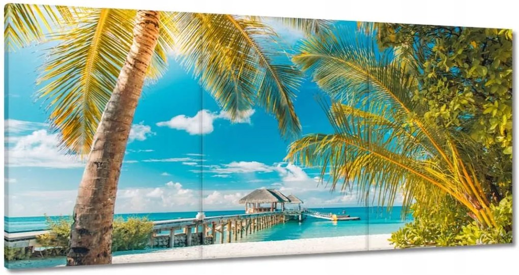 Vászonkép 180x90 Trópusok Tájkép Pálma