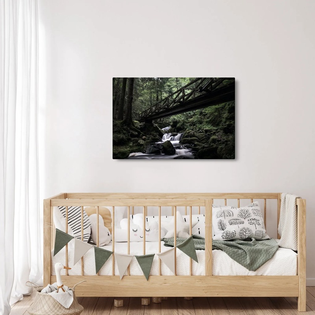 Fekete erdő képe (90x60 cm)