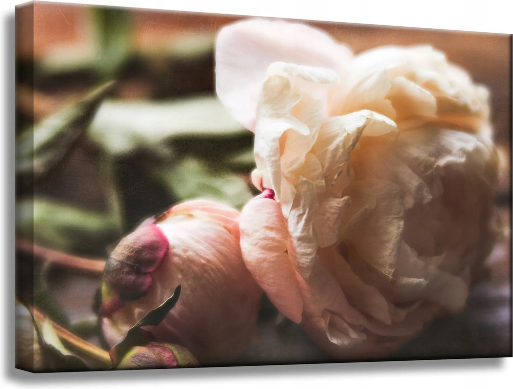 Botanika Bazsarózsa virágok vászonkép 60x40 cm