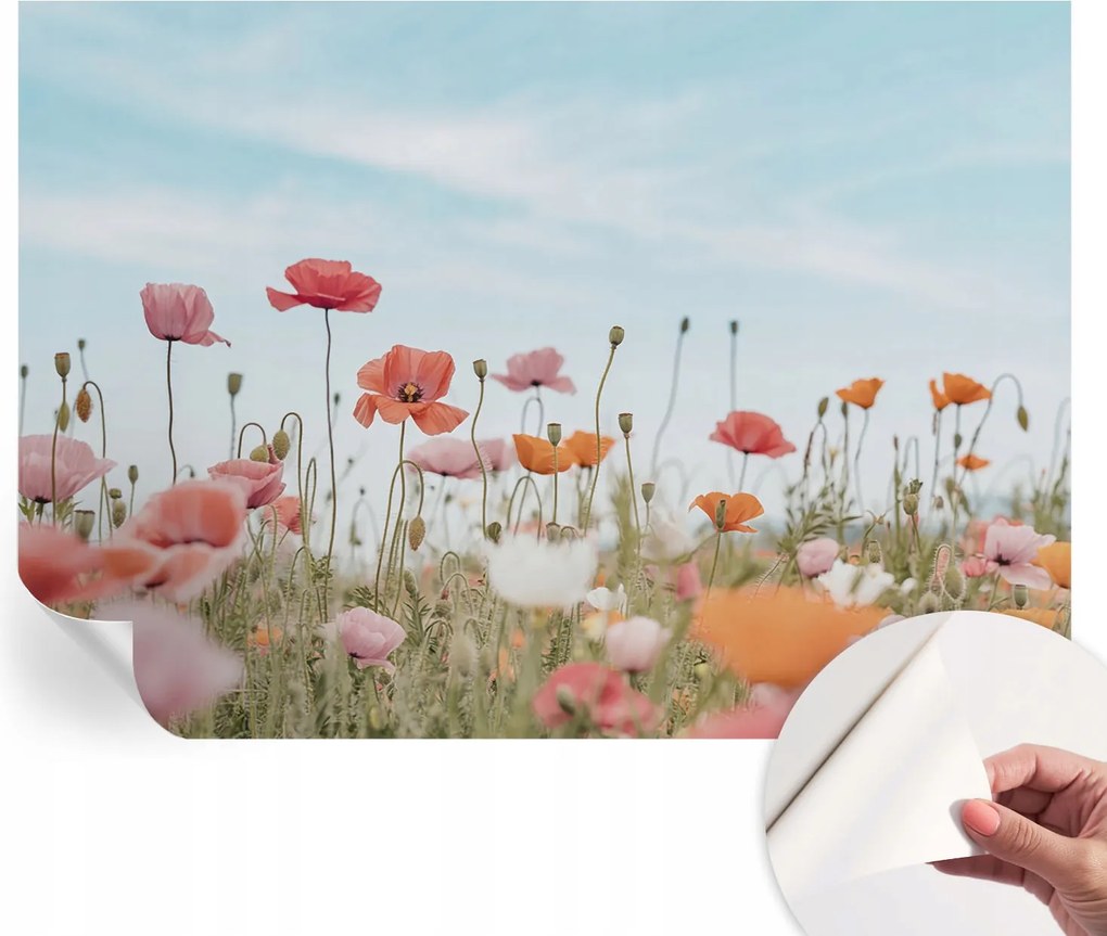 Öntapadós Dekoratív Fotótapéta Hálószobába Pipacsvirágok 208x146 cm