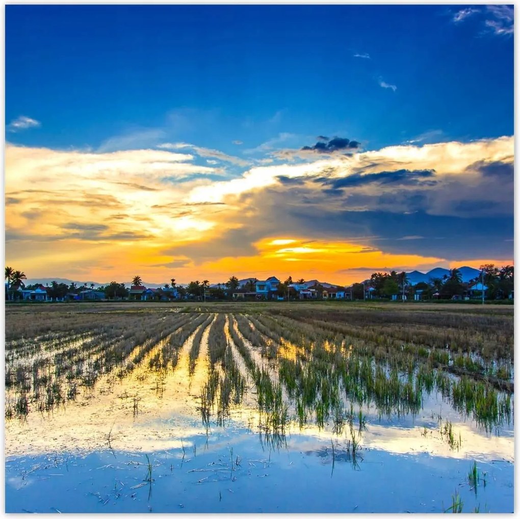 Poszterek 100x100 Tájkép Látvány