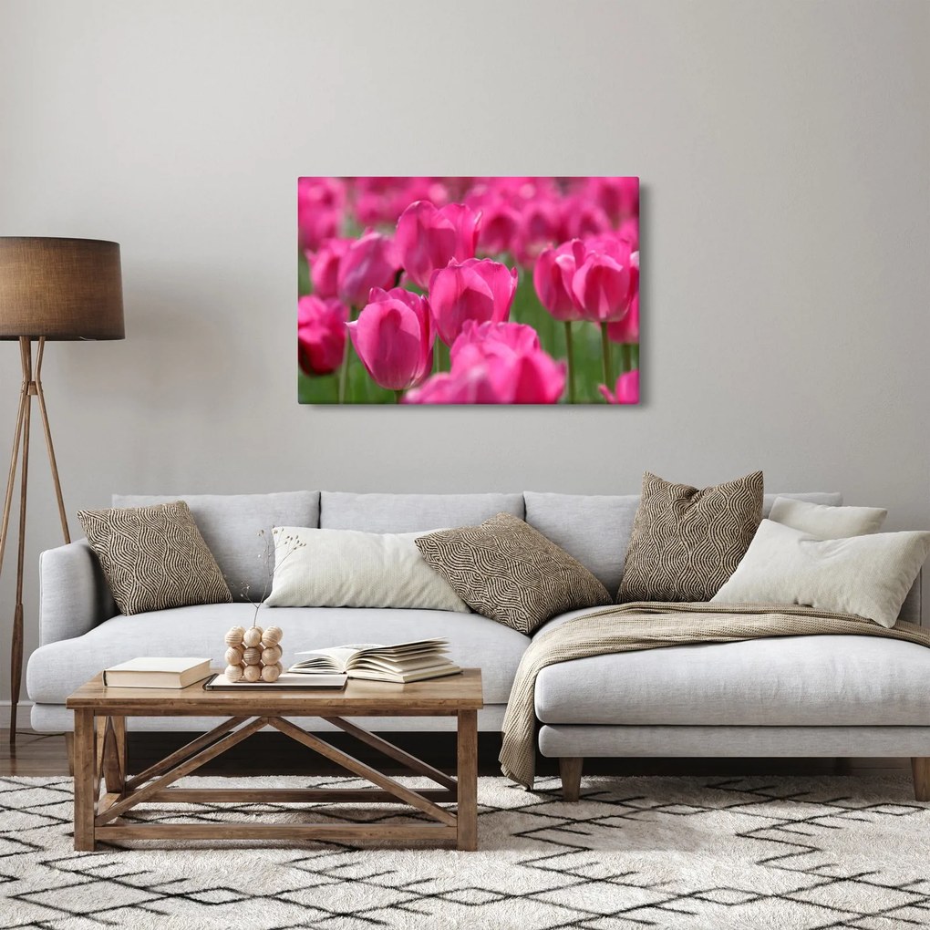 Kép - Rózsaszín tulipánok (90x60 cm)