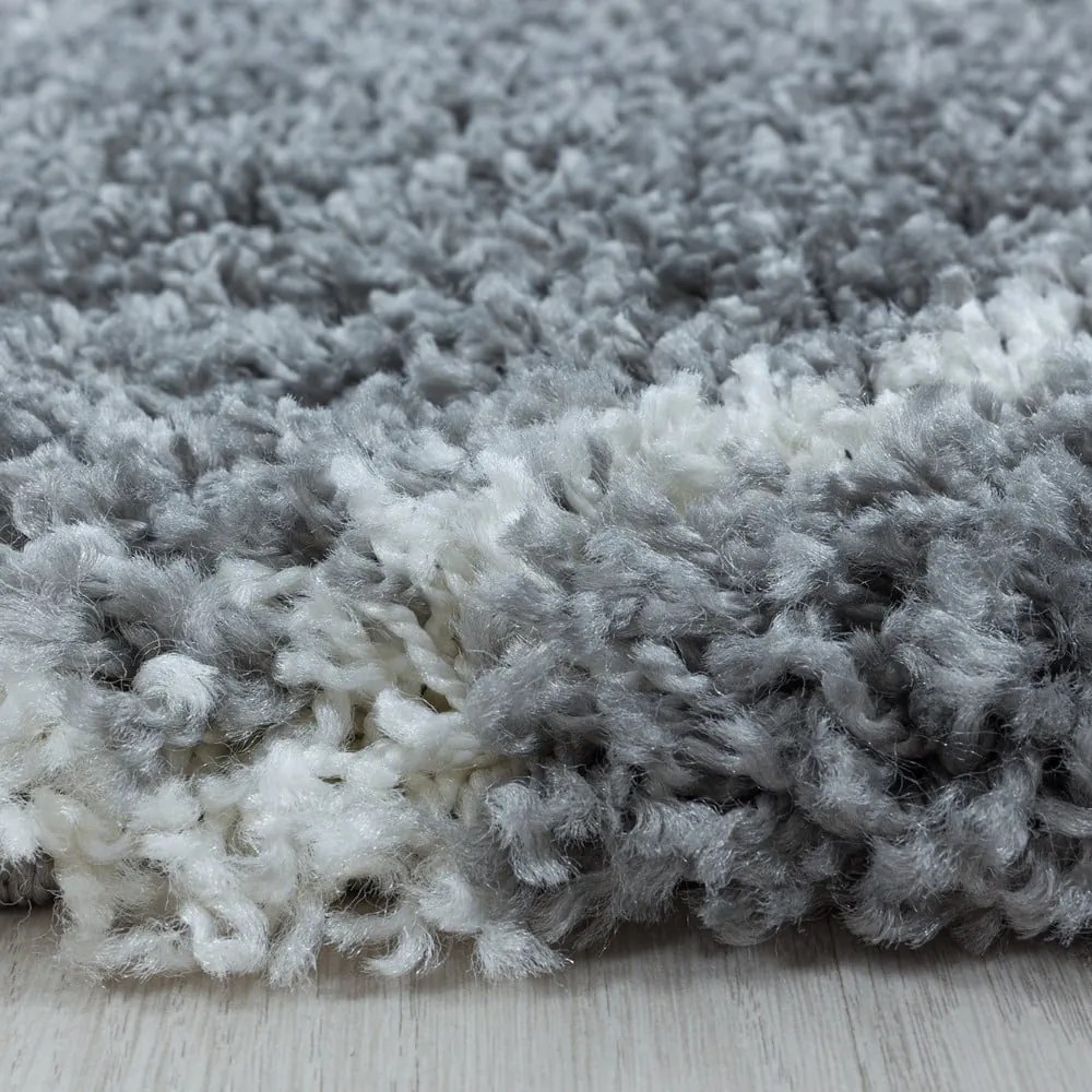 Szürke szőnyeg 160x230 cm Alvor – Ayyildiz Carpets