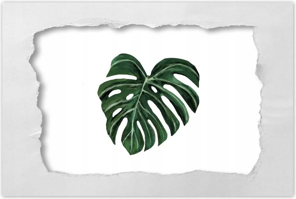 Poszterek 120x80 Monstera deliciosa Levél