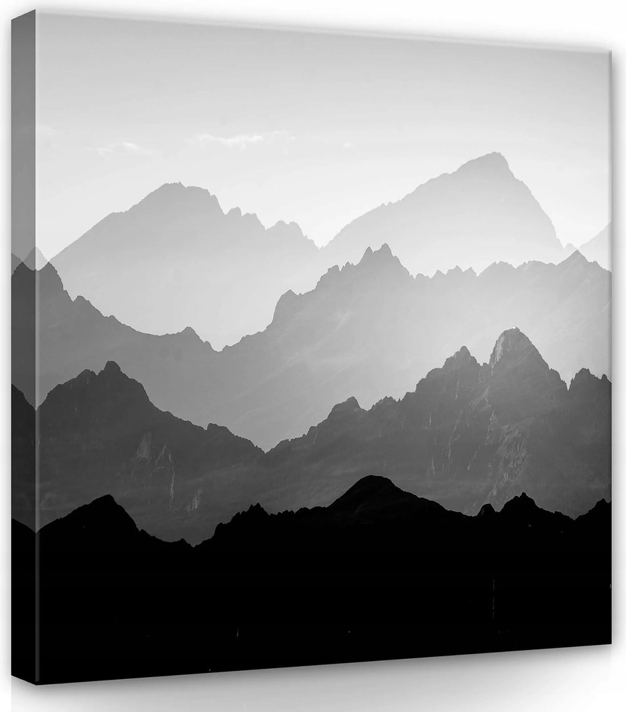 Vászonkép 80x80 Hegyek hegyvonulat monokróm szürke köd tájkép természet