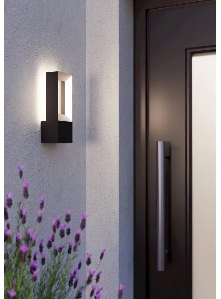 Eglo 98725 - LED Kültéri fali lámpa RIFORANO 2xLED/5W/230V IP44