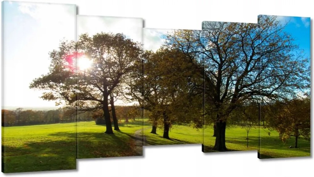 Festmények 150x80 Őszi tájkép