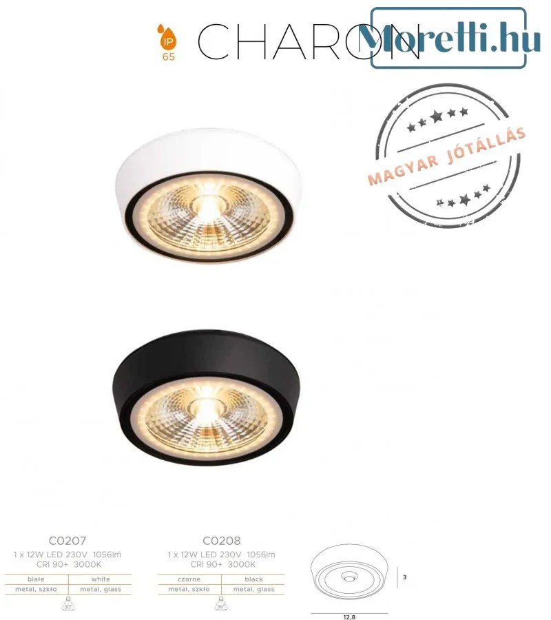 Fürdőszoba Mennyezeti Lámpa Fekete CHARON MAXLIGHT C0208