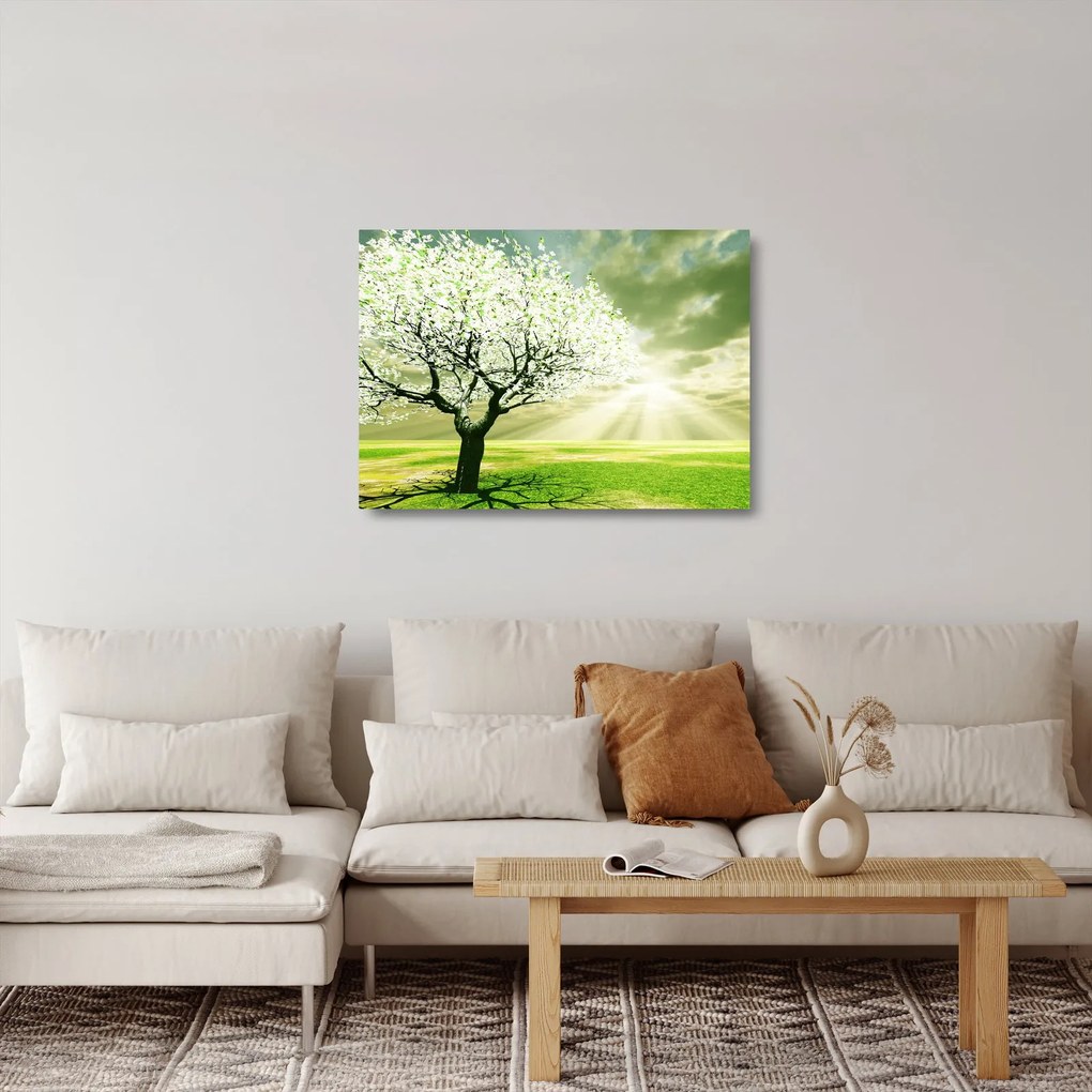 Virágzó fa képe (üvegen) (70x50 cm)
