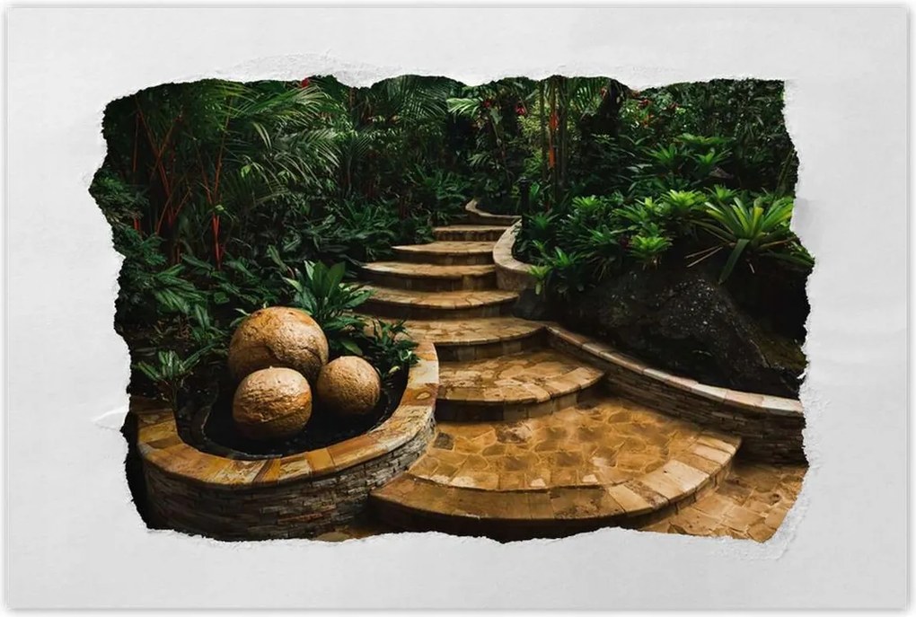 Poszterek 90x60 Trópusi golyók