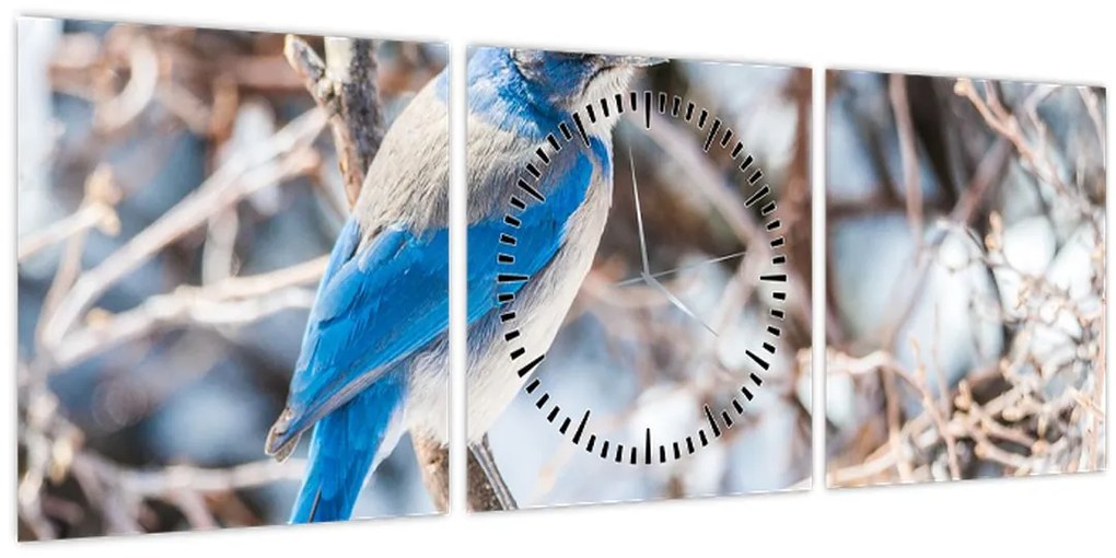 Kép - Téli madár (órával) (90x30 cm)