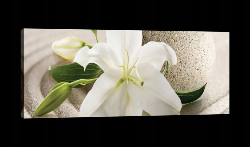 Vászonkép 145x45 Nyugalom zen harmónia relaxáció liliom virágok természet minimalizmus
