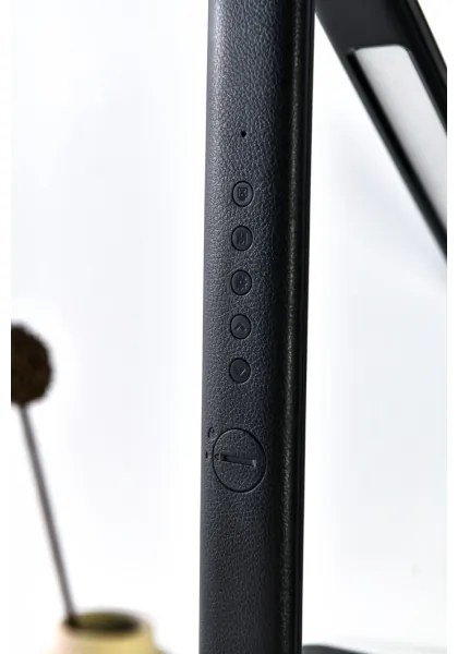 Immax 08930L - LED Szabályozható asztali lámpa kijelzővel KINGFISHER LED/9W/230V/12V fekete