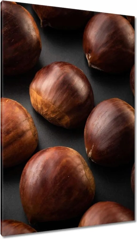 Vászonkép 80x120 Kormány Ehető gesztenye