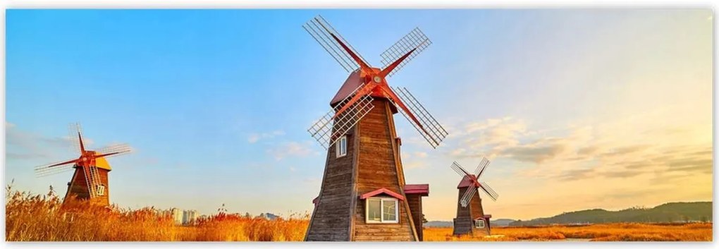 Fotótapéták 200x66 Fa szélmalom