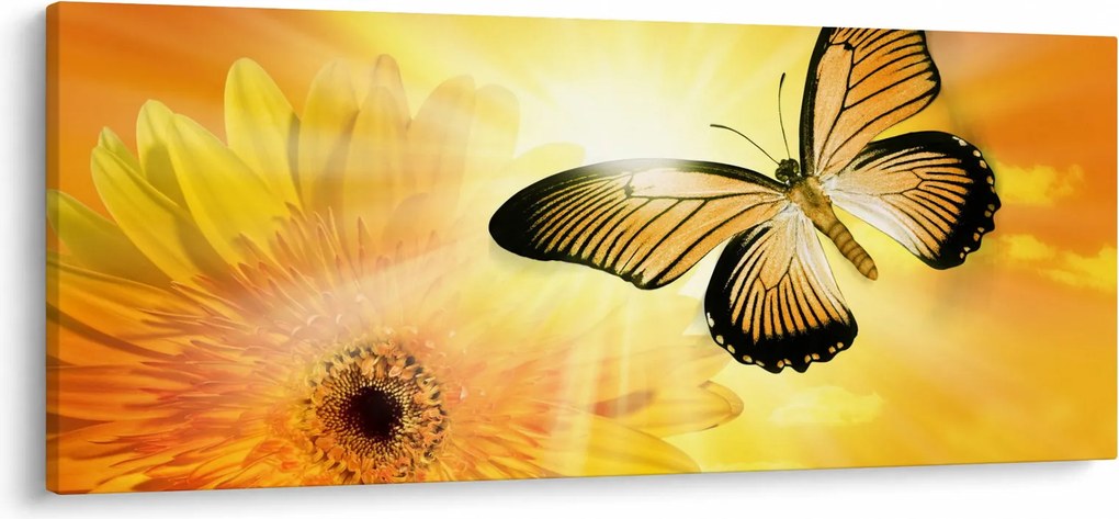 Kép - Sárga pillangó virággal (120x50 cm)