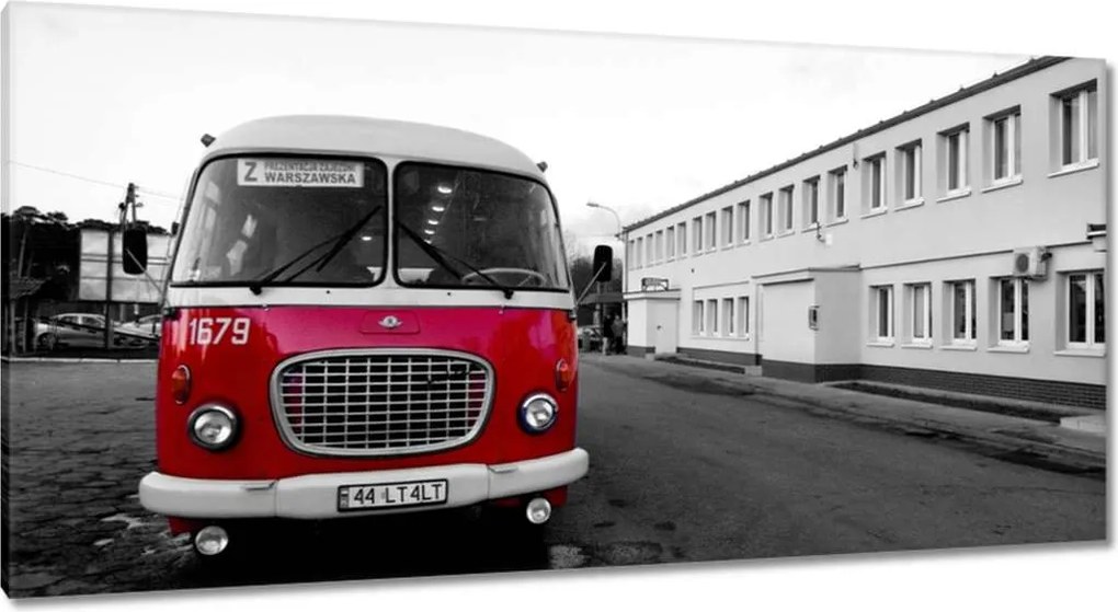 Vászonkép 115x55 Vörös szarvas uborka