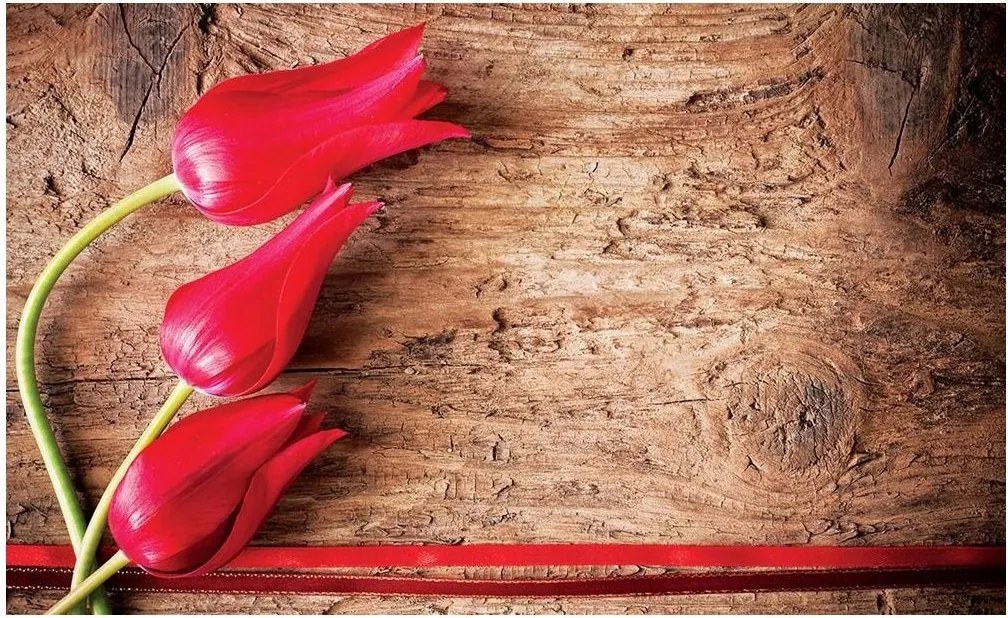 Fotótapéta tulipán virágok fotótapéta 254 x 184