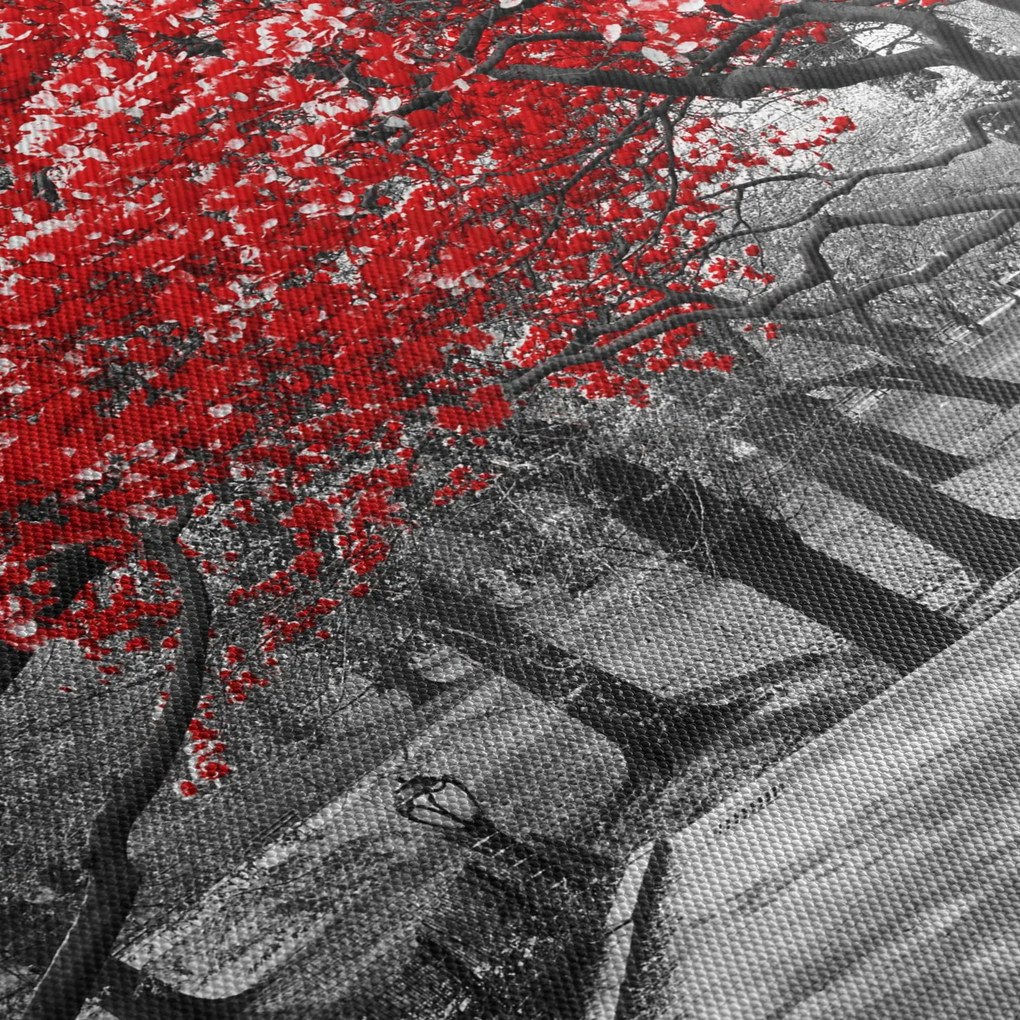 Kép - vörös fák,Central Park, New York (120x50 cm)