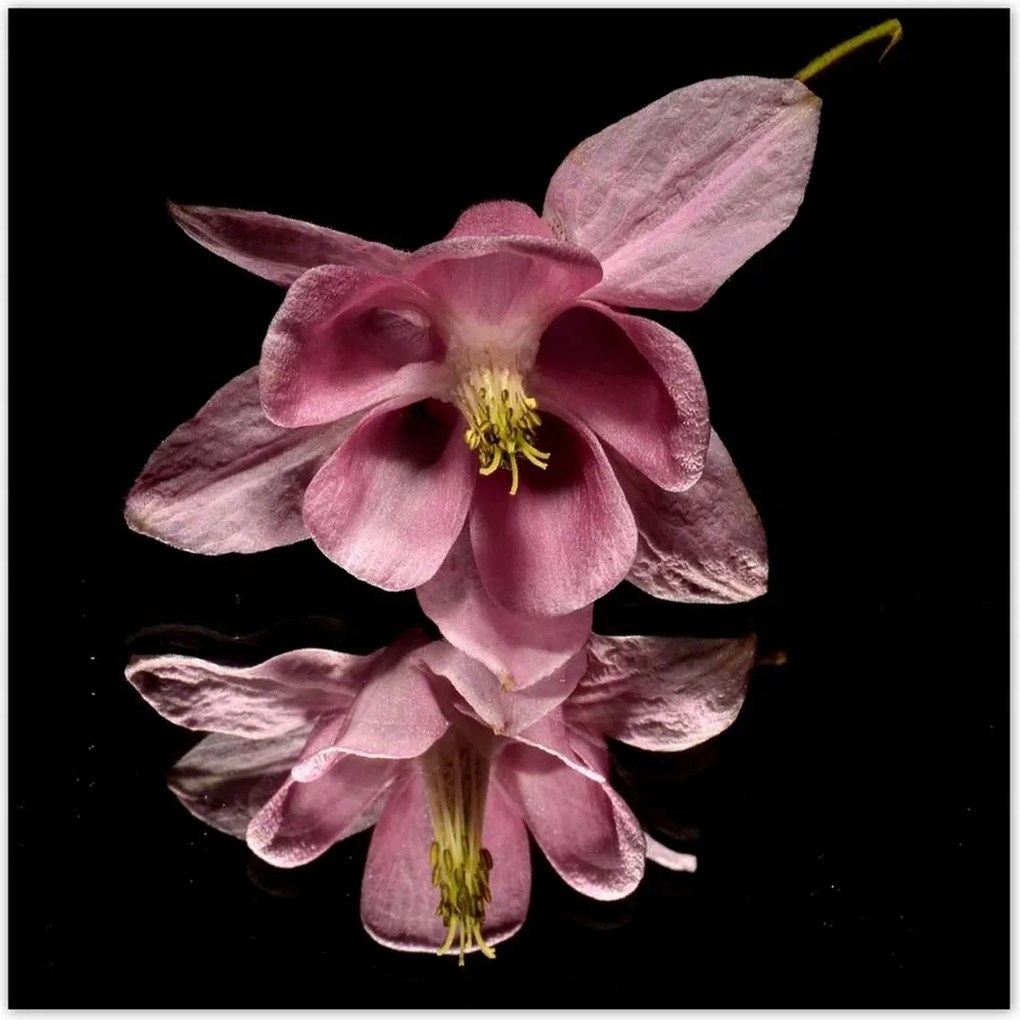 Poszterek 100x100 Nőnap Ajándék Love