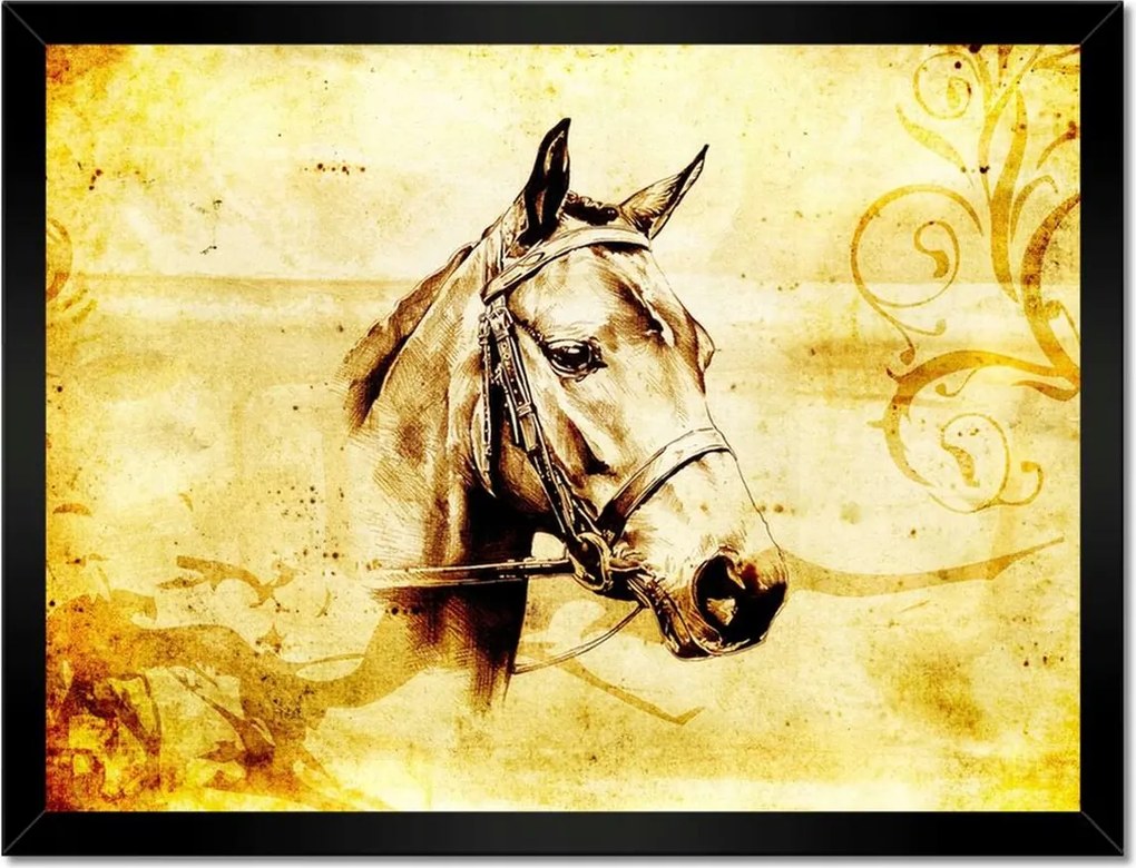 Poszterek keretben 40x30 Lófej