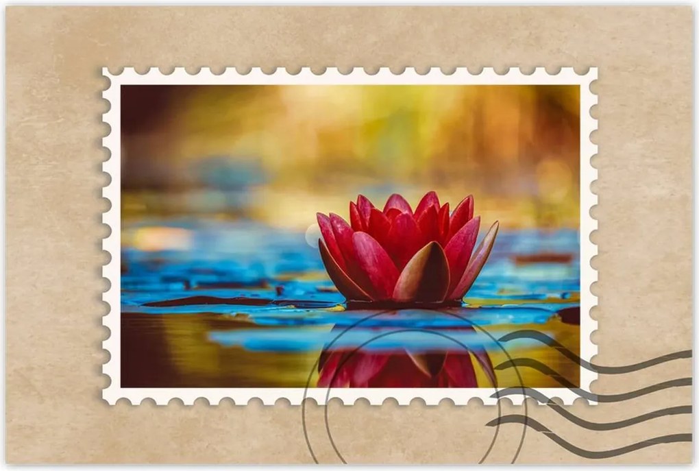 Poszter 60x40 Tavirózsa Virág Víz