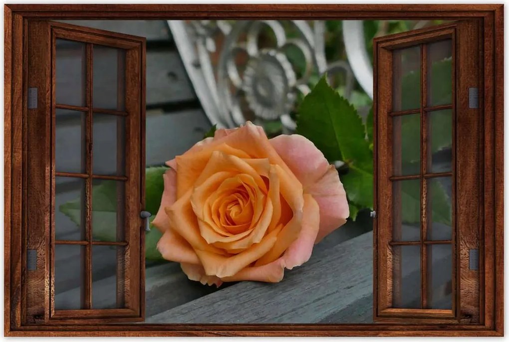 Poszterek 60x40 Rózsa Virág Virágok Rózsa