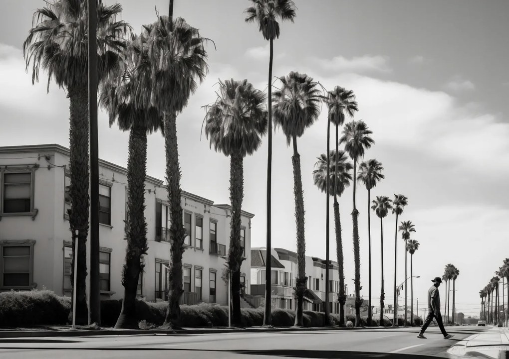 Poszter 84,1x59,4cm Séta a pálmafák árnyékában